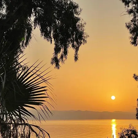 Mako Sea & Πευκοχώρι