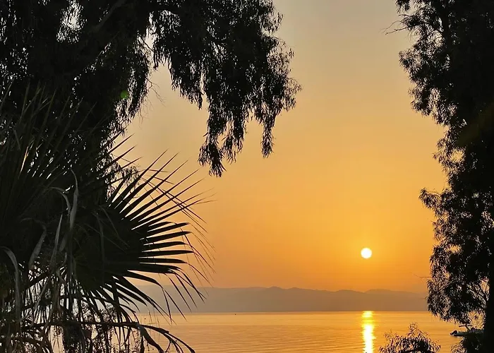 Mako Sea & 佩科霍里